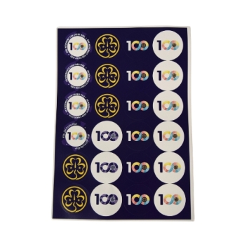 WAGGGS Centenary Sticker Chart
