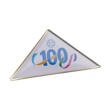 Centenary Metal Pin