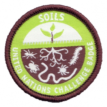 Soils - UN Challenge badge (Pack of 10)